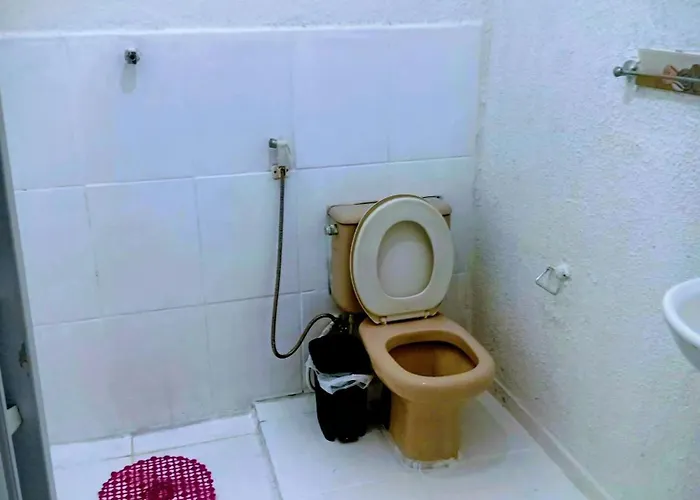 Pertinho prahia toninhas